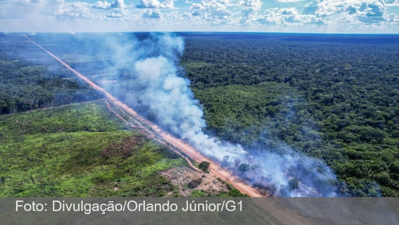 Justiça libera estrada que pode afetar 300 mil km² da Amazônia