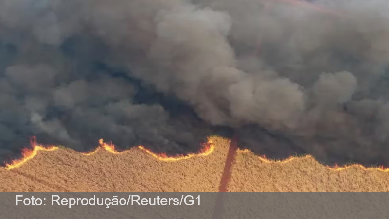 Fogo em SP agrava perdas de cana e pode afetar preço do açúcar e do etanol