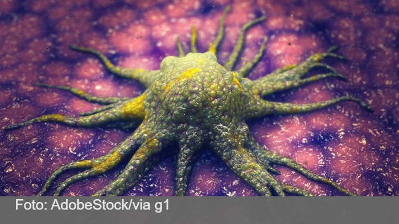 Cientistas descobrem molécula que ‘mata de fome’ células cancerígenas sem afetar tecidos saudáveis
