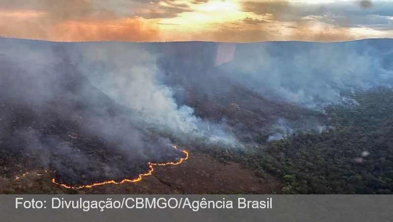 Brasil concentra 76% dos incêndios na América do Sul