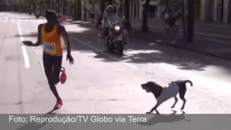 Cachorro ameaça avançar e assusta bicampeã da São Silvestre durante prova