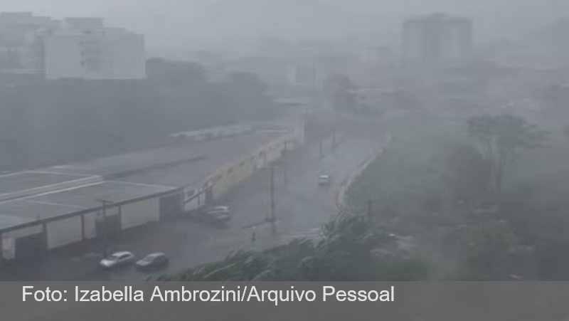 Chuva deixa pontos de alagamento e rajadas de vento derrubam árvores em Juiz de Fora