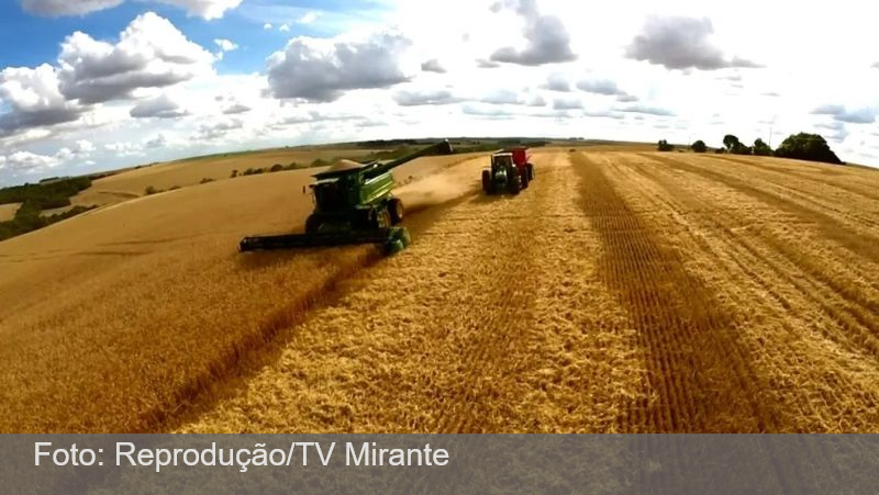 Cargill suspende exportação de soja do Brasil à China após mudança em inspeção