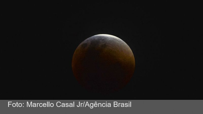 Eclipse parcial da Lua acontece hoje; veja como assistir pela internet