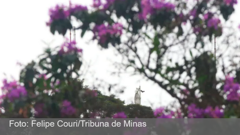 Frio aumenta ao longo da semana em Juiz de Fora e mínima pode chegar a 12 graus; veja a previsão