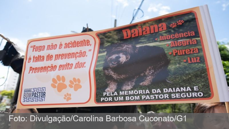 Moradores protestam após morte de cadela atacada por pitbull no Bom Pastor, em Juiz de Fora; VÍDEO