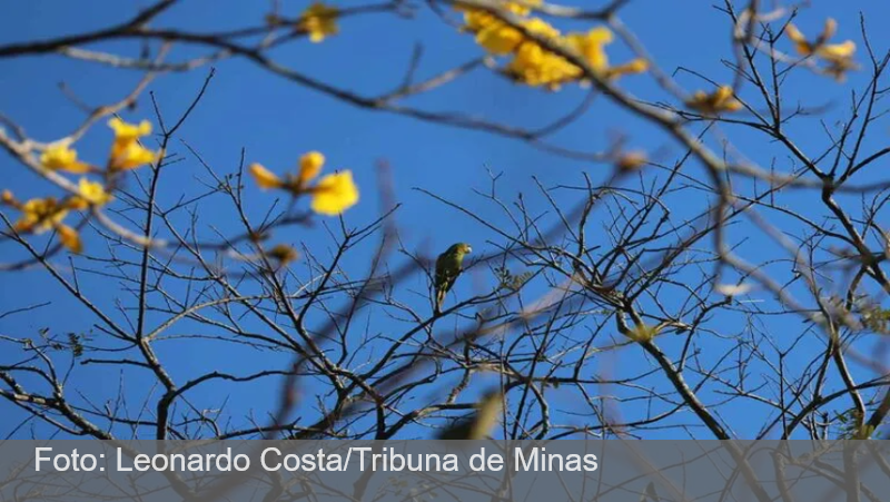 Calor pode chegar a 36 graus no fim de semana em Juiz de Fora
