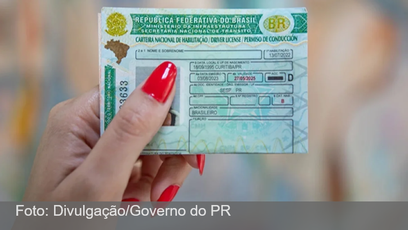 Câmara aprova suspensão e até cassação da CNH por abandono de animais