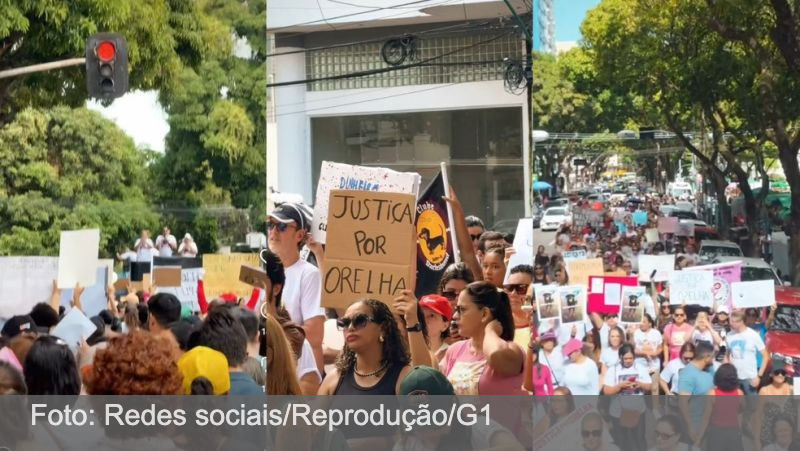 Caso cão Orelha mobiliza manifestações em Florianópolis e em várias cidades do Brasil