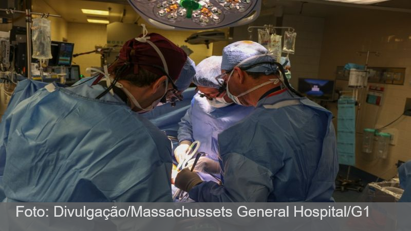 Médico brasileiro comanda o 1º transplante de rim de porco para um humano, nos EUA