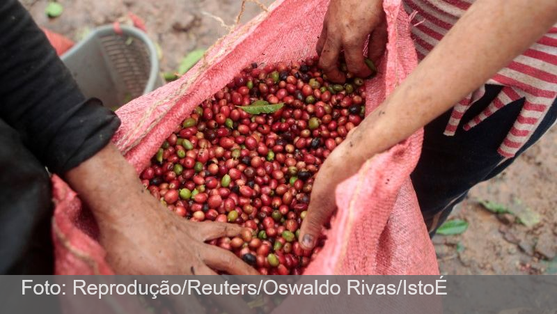 Preços do café disparam após geadas no Brasil e preocupação com frio permanece