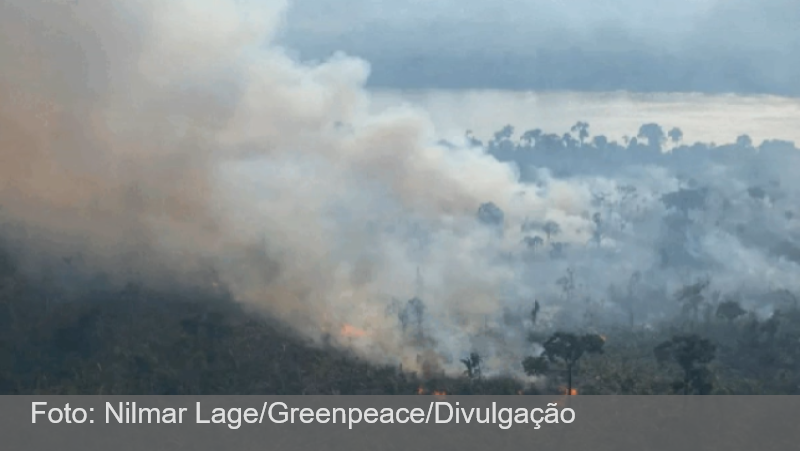 Recorde de queimadas e seca histórica ofuscam o Dia da Amazônia