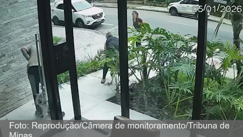 VÍDEO: Ataque de pitbull deixa cadela ferida no Bairro Bom Pastor em Juiz de Fora