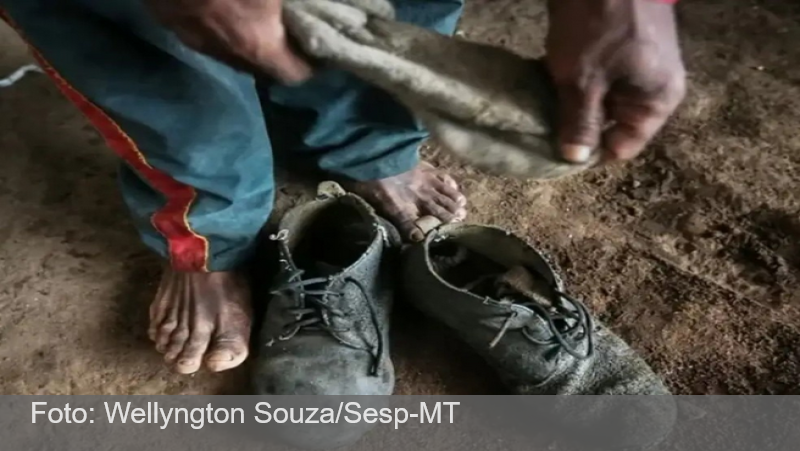 Governo atualiza ‘lista suja’ do trabalho escravo e inclui Amado Batista e BYD