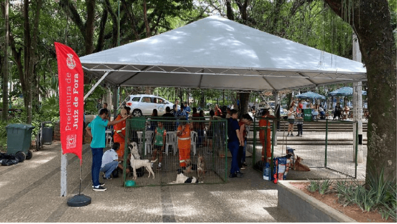 Parque Halfeld recebe evento de adoção do Canil Municipal de Juiz de Fora neste sábado (22)