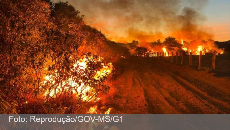 Fazendeiros são multados em R$ 100 milhões por queimarem 330 mil hectares