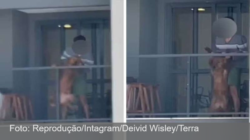 Homem é preso por maus-tratos após ser flagrado batendo em cachorro na sacada de apartamento no Paraná