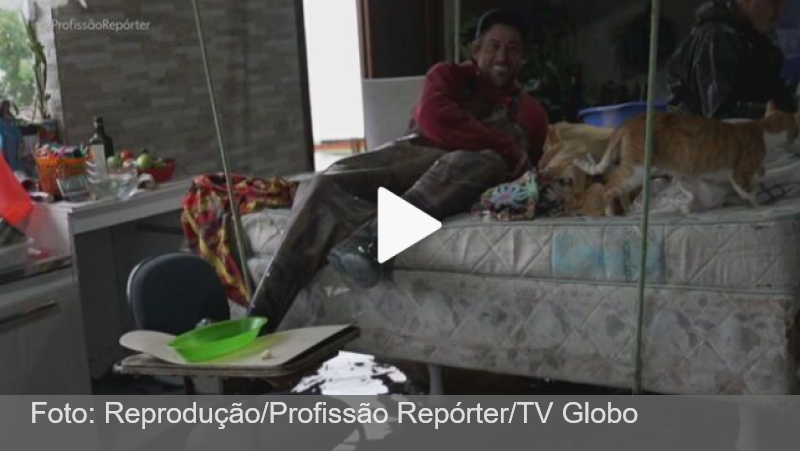 Morador pendura cama no teto e dorme com gatos em casa tomada por água no RS; veja vídeo