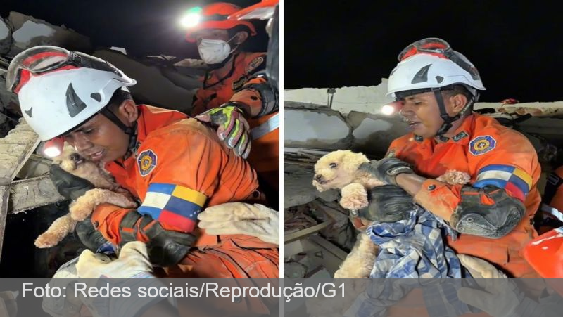 VÍDEO: cachorra é encontrada viva sob os escombros cinco dias após terremoto na Venezuela