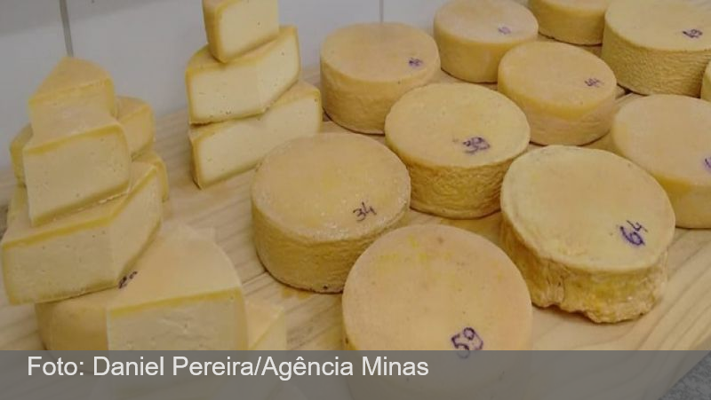 Pesquisas aprimoram queijo artesanal mineiro
