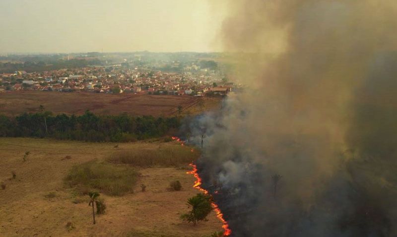 Em diligência no Pantanal, senadores dizem que cenário é devastador