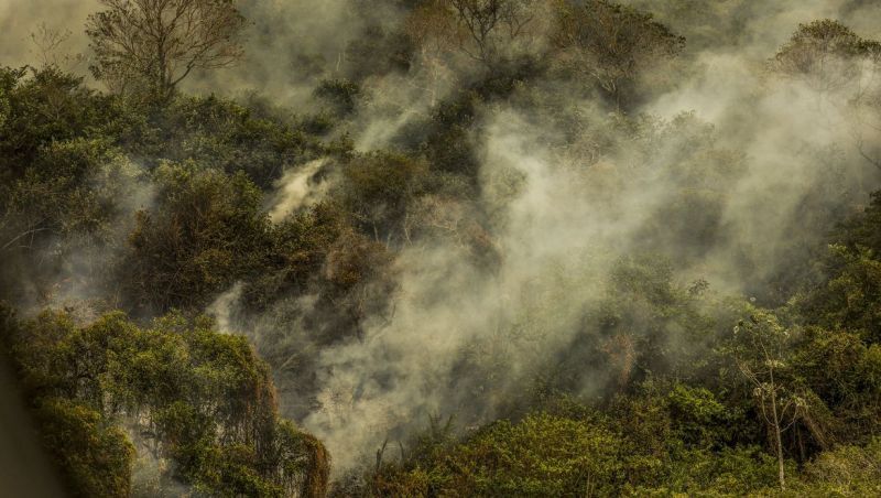 Rondônia declara situação de emergência por incêndios florestais