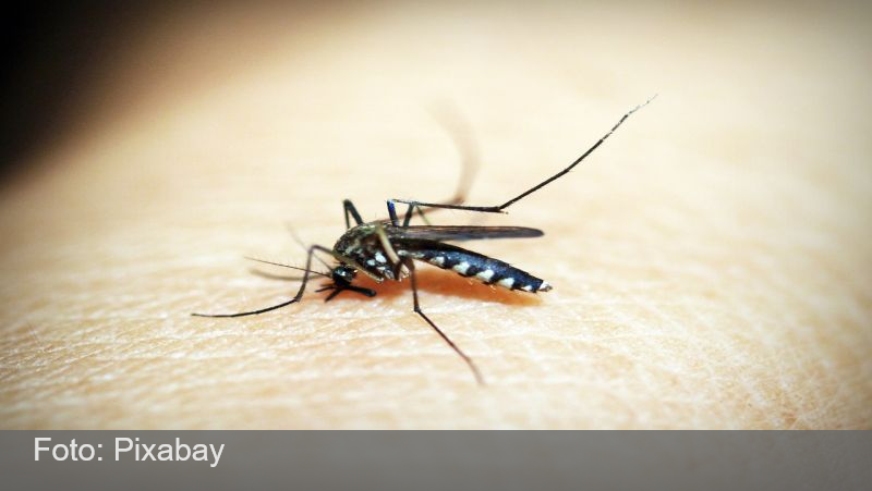 Mais dois óbitos por dengue são confirmados em Juiz de Fora