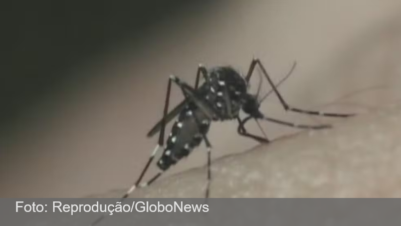Brasil registra mais de 1 milhão de casos de dengue em 2024; mortes chegam a 214