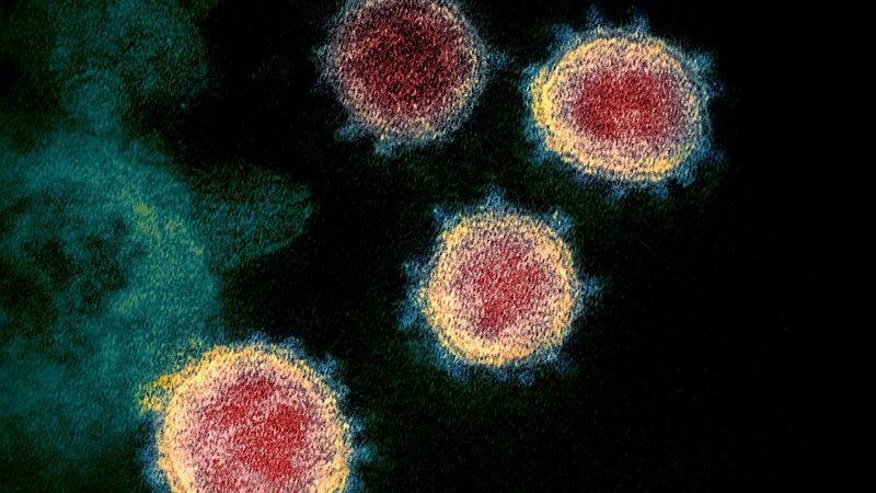Infecção por covid-19 dá alguma imunidade, mostra estudo