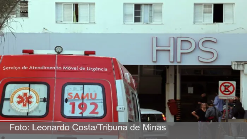 Idoso atacado por pitbull em Rio Novo morre em hospital de Juiz de Fora