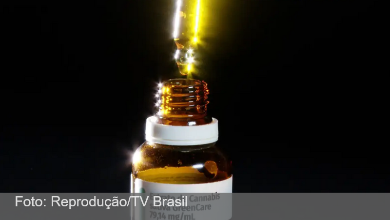 Anvisa aprova cultivo de cannabis por empresas e amplia acesso