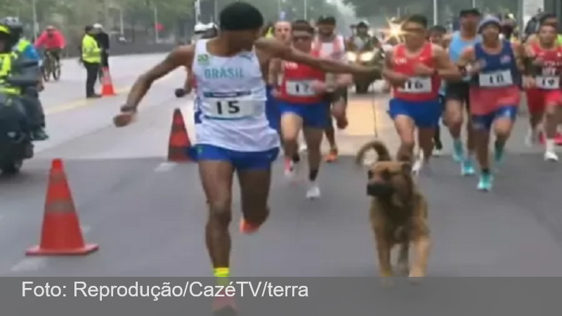 Cachorro invade maratona dos Jogos Pan-Americanos e corre ao lado de brasileiro