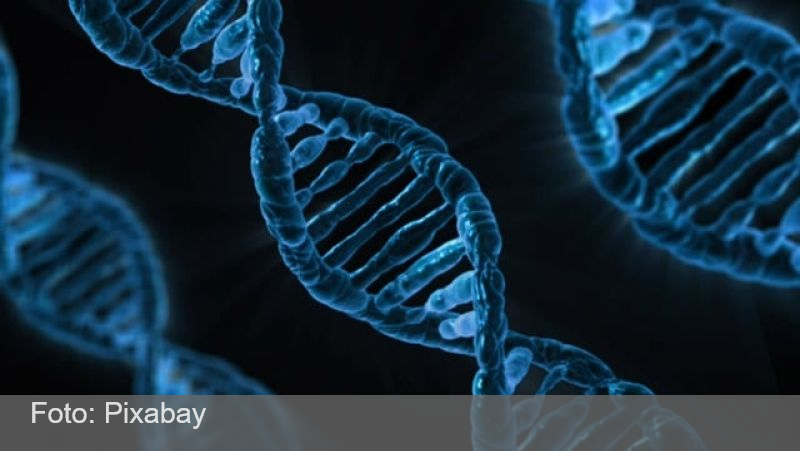 Síndrome de Li-Fraumeni tem alta prevalência nas regiões Sul e Sudeste e exige monitoramento, alertam médicos