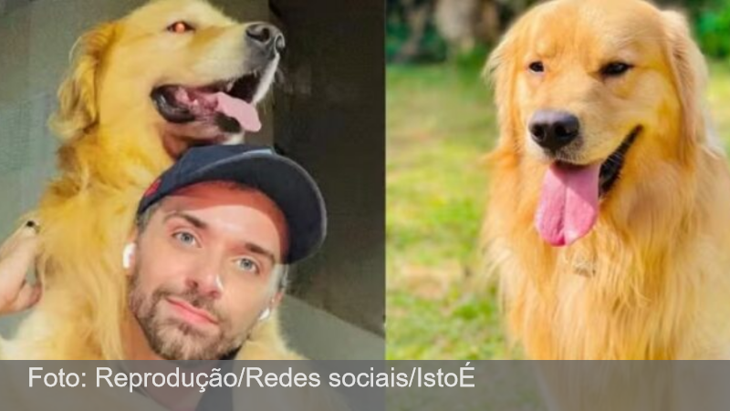 Justiça arquiva caso do cachorro Joca, que morreu durante voo da Gol