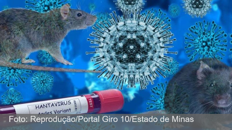 Minas confirma primeira morte por hantavírus no país