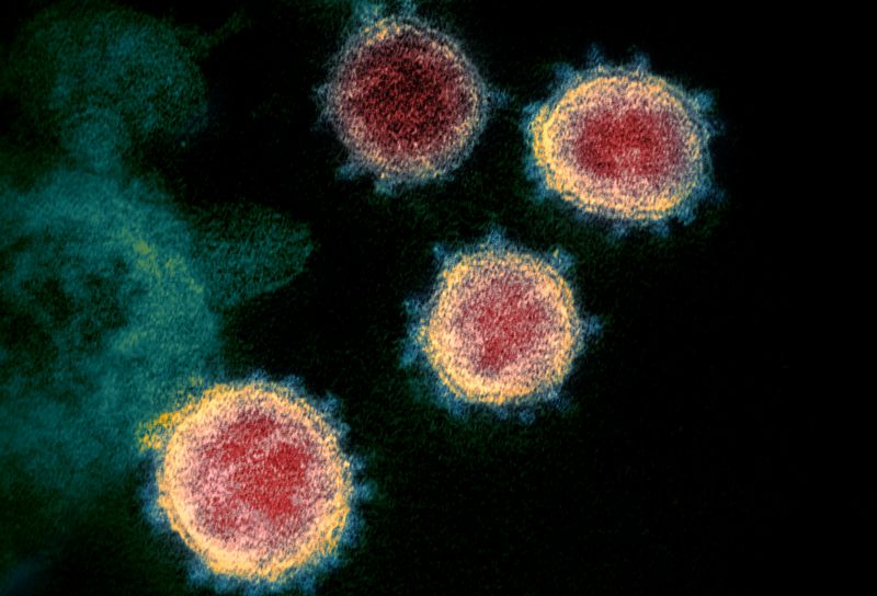Comitê de emergência da OMS analisa variantes do novo coronavírus