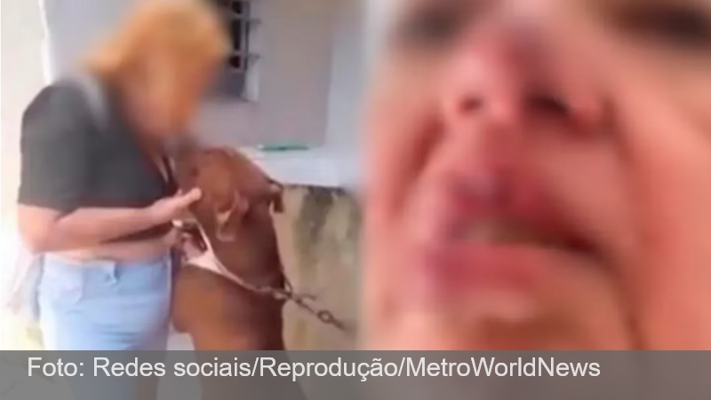 Mulher tem lábios dilacerados ao tentar beijar pit bull que estava preso com corrente