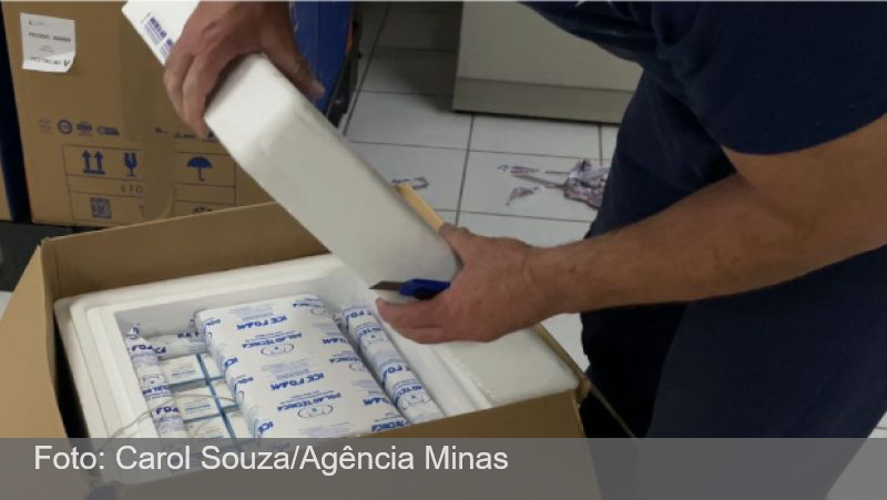 Minas recebe 84 mil doses da vacina contra a covid-19