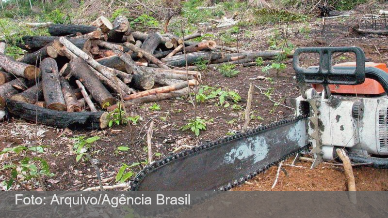 Banco Santander financiou indiretamente grupo ligado a desmatamento no Brasil