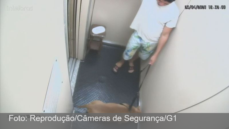 Tutor é denunciado por afogar cachorro no mar em Copacabana; câmeras mostram últimos minutos do animal antes da morte