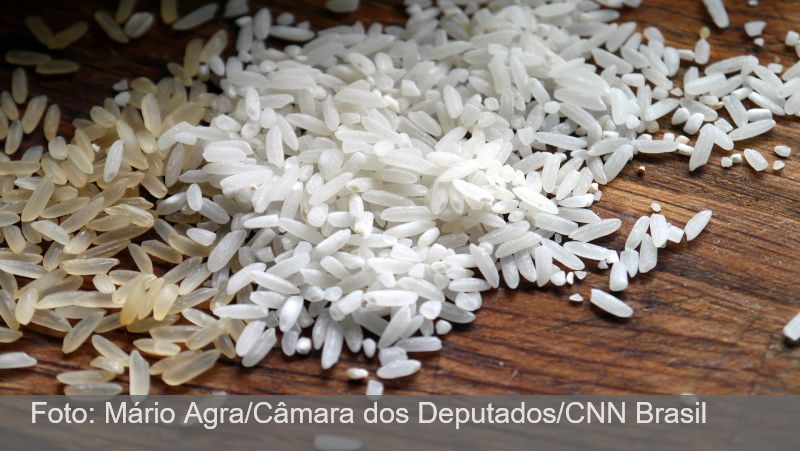 Câmara quer ouvir “diretor do arroz” sobre polêmica envolvendo leilão