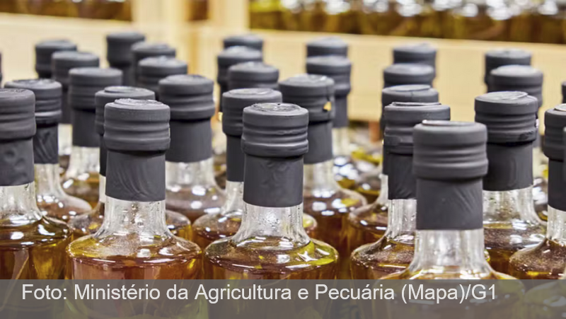 Ministério da Agricultura proíbe a venda de lotes de 12 marcas de azeite de oliva; saiba quais