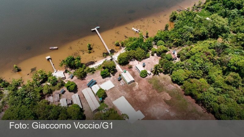 Fraude na Amazônia: empresas usam terras públicas como se fossem particulares para vender créditos de carbono a gigantes multinacionais