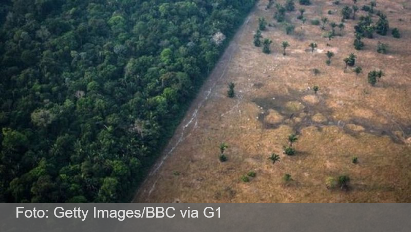 Brasil piora em índices ambientais na última COP da gestão Bolsonaro