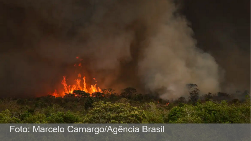 Queimadas fazem desmatamento crescer 92% na Amazônia em maio