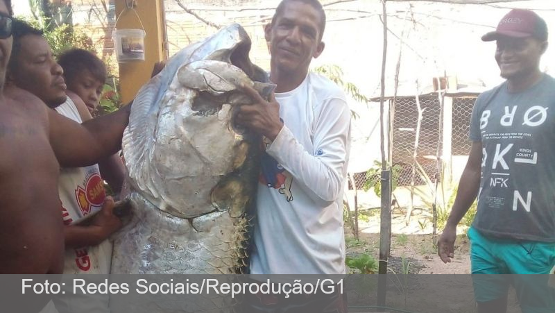 Pescador captura peixe de mais de 100 quilos no litoral do RN: 'Foi luta pra tirar da água'