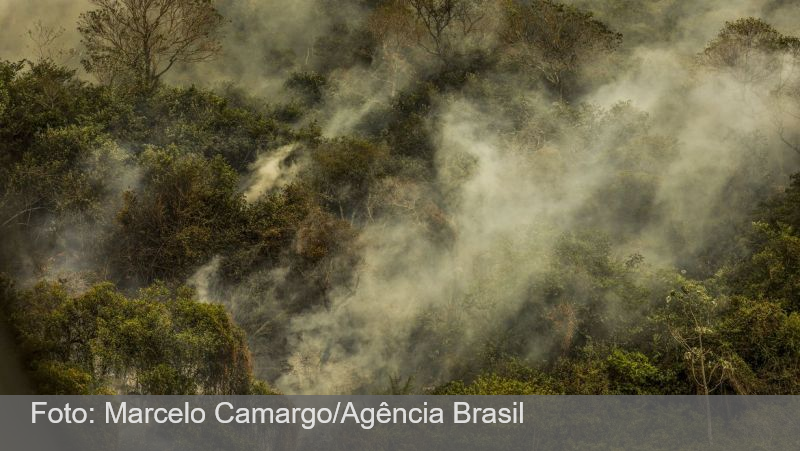 Rondônia declara situação de emergência por incêndios florestais