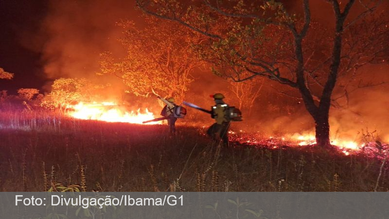 Com mais de 10 mil queimadas, Amazonas tem pior mês de agosto dos últimos 26 anos