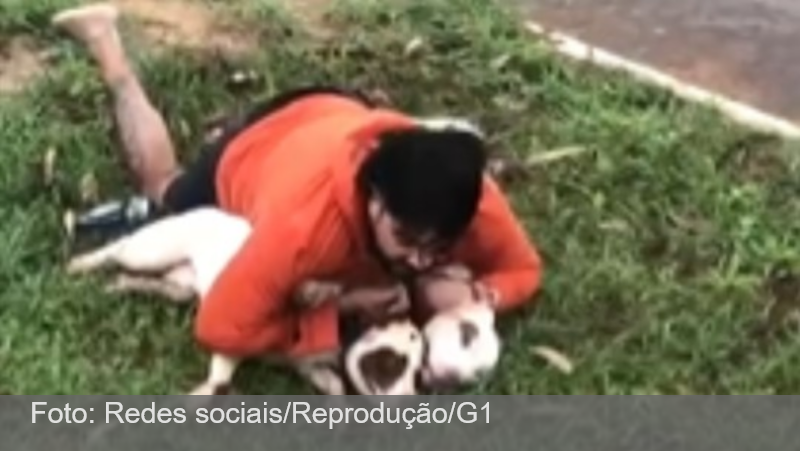 Especialista explica como se defender de ataques de pitbulls e outros cães
