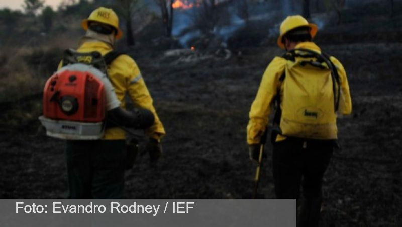 Unidades de conservação reforçam cuidados contra incêndios florestais em Minas